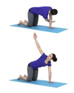An image of two poses, the first of a woman kneeling on an exercise map with one palm planted on the floor and her other arm reaching underneath her in the opposite direction. the second image is the arm being swung from underneath her into a stretching position above her. 